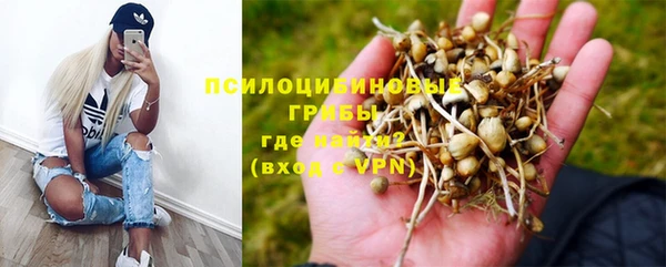 прущие крисы Абаза