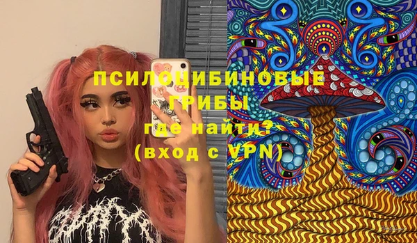 прущие крисы Абаза